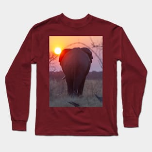 African Elephant in the sunset in Botswana Long Sleeve T-Shirt